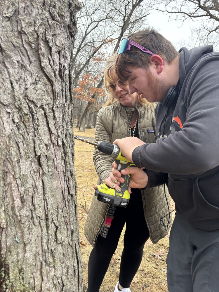 maple syrup 