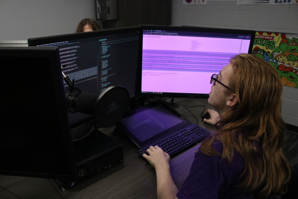 Student doing Web Design.