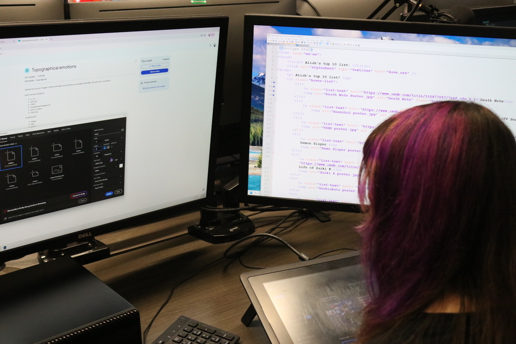 Student doing Web Coding.