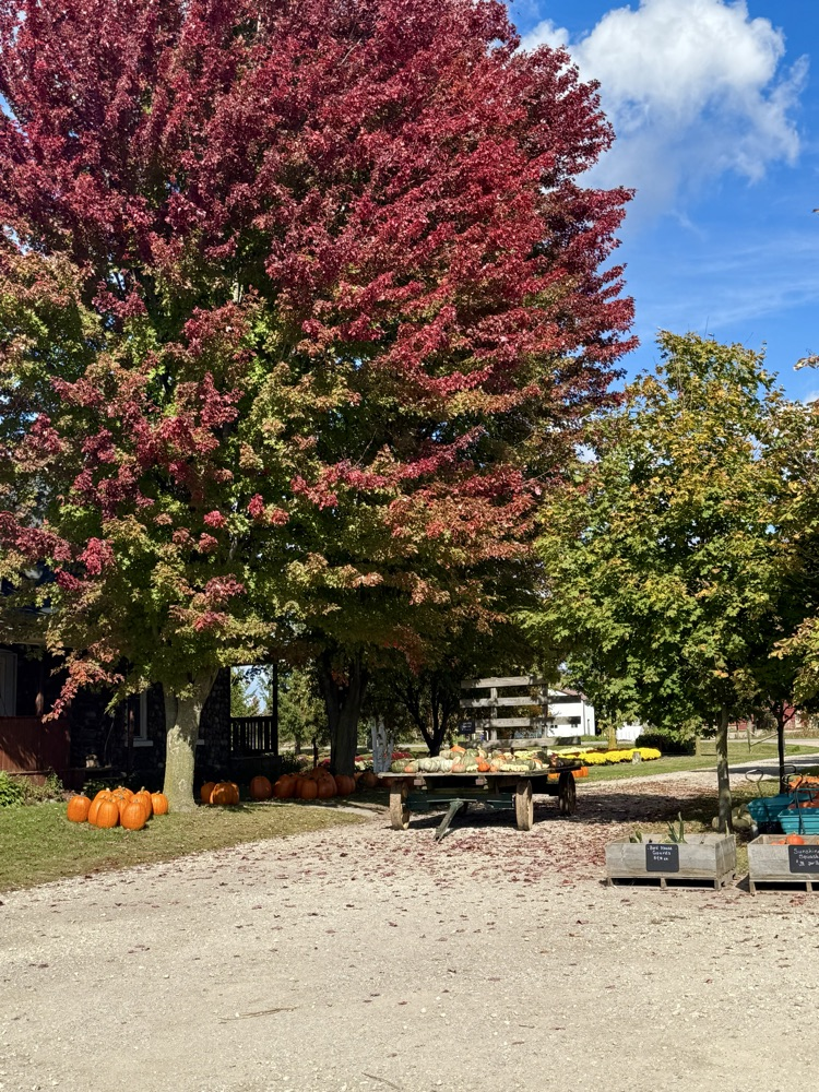 outdoor scenes
