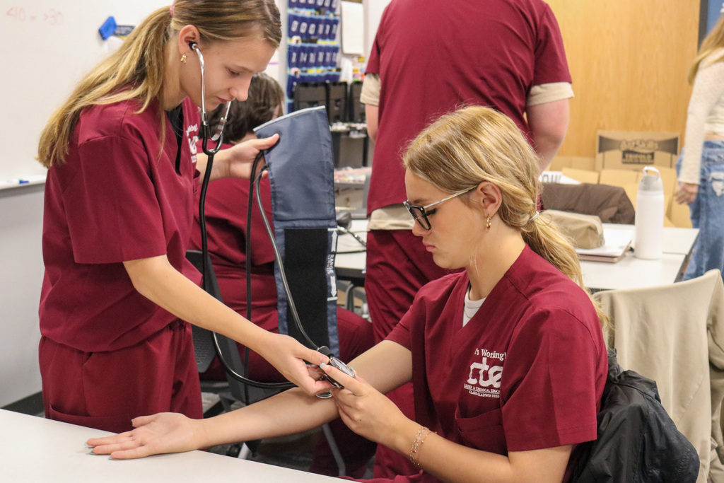 Student taking another students vitals