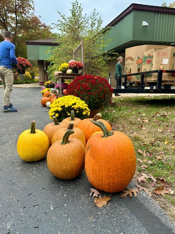 Setting up for the Pumpkins and Mums fundraiser