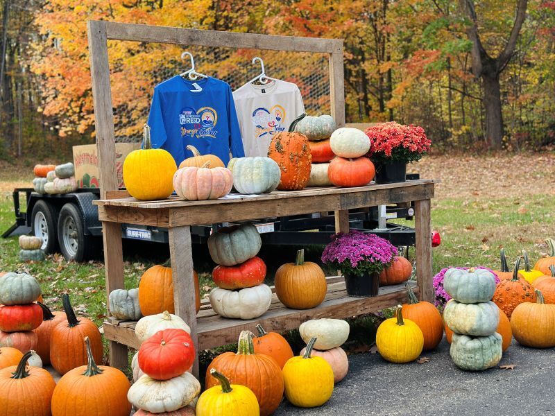 Pumpkins, mums  and tshirts for sale