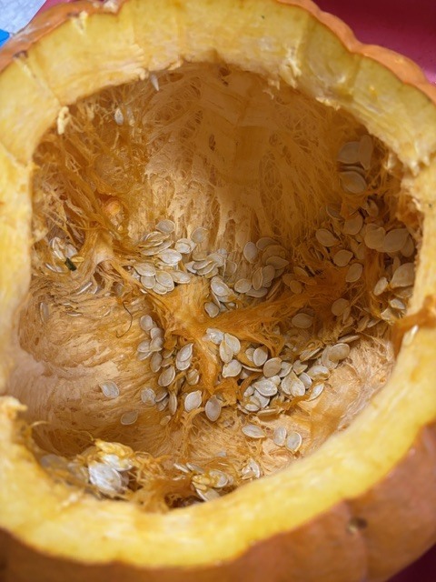 inside the pumpkin