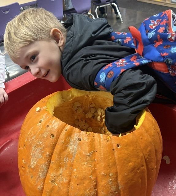 student laying on table and scooping insides of pumpkin with hands