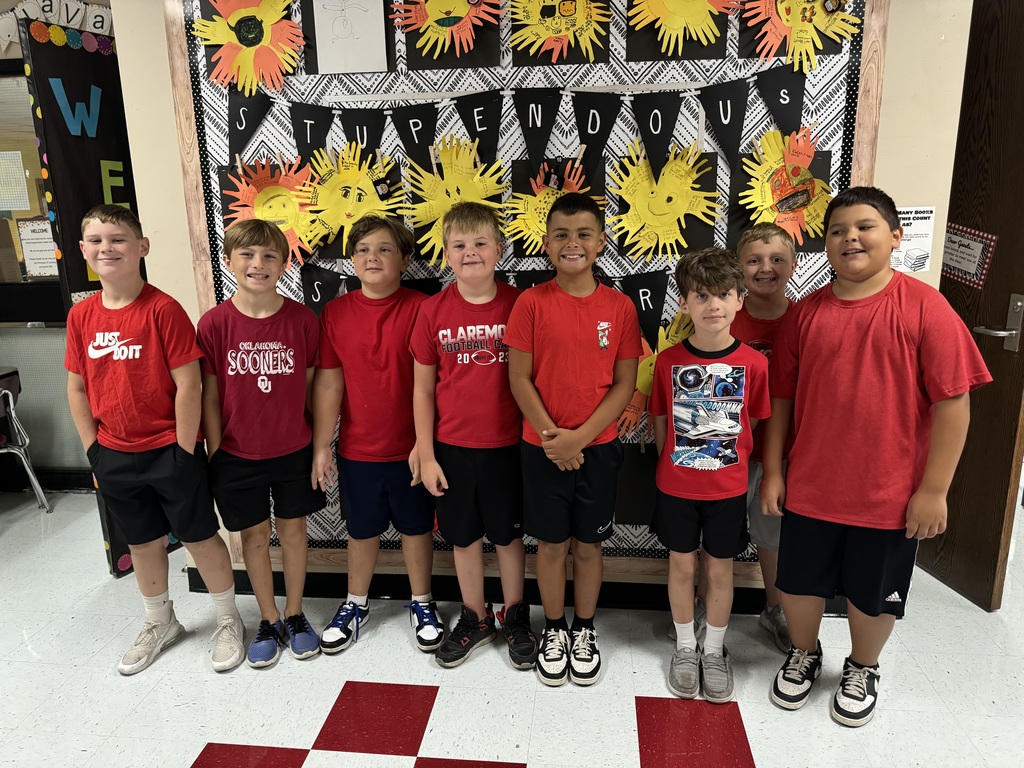 Bunch of Boy Twins