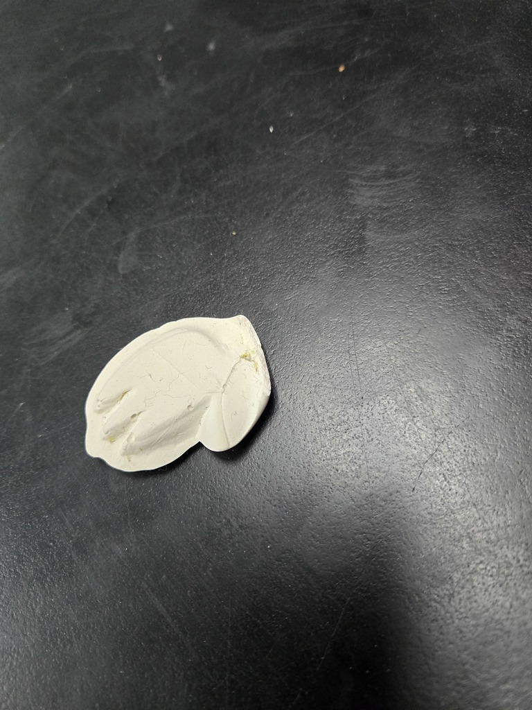 FOSSIL MAKING