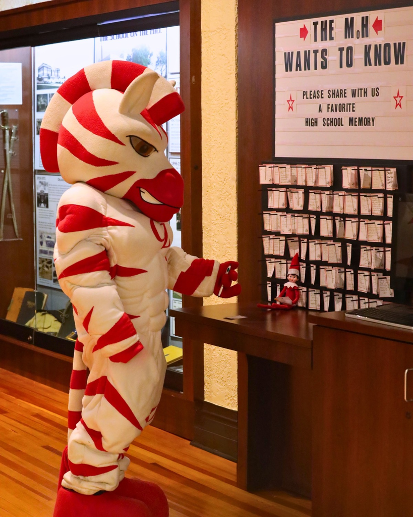 zebs and dazzle at the museum of claremore