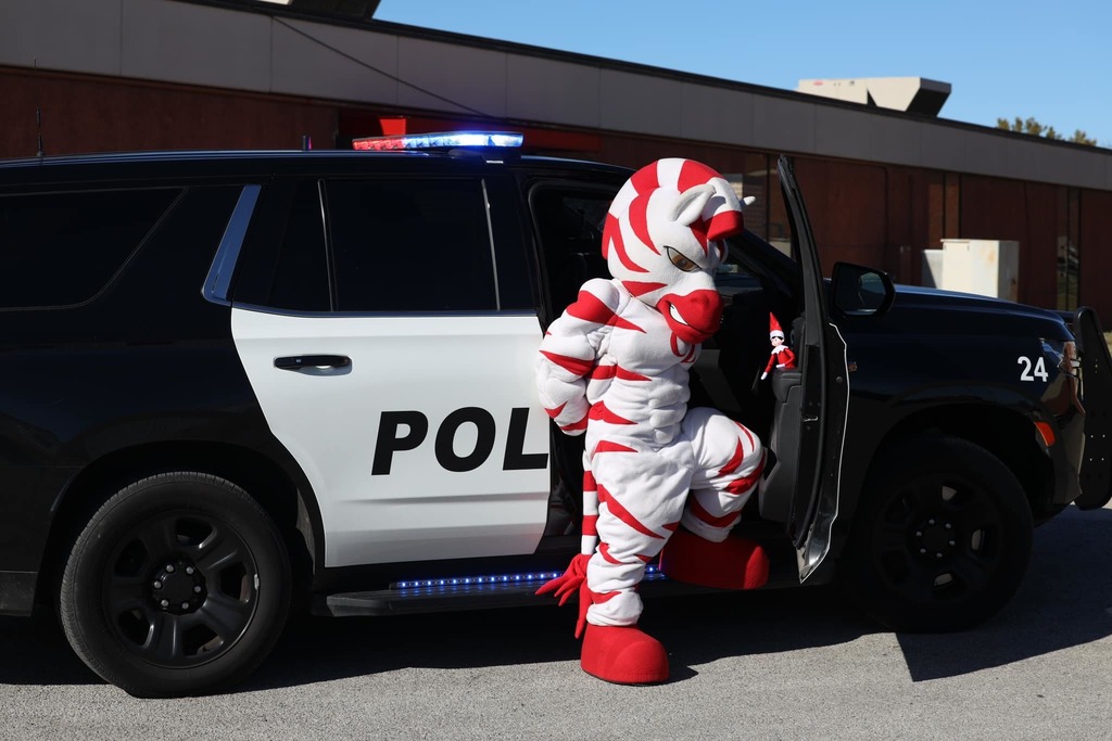 zebs and dazzle at a cop car