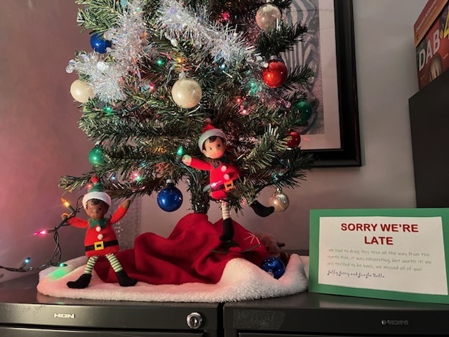 SECRET ELVES