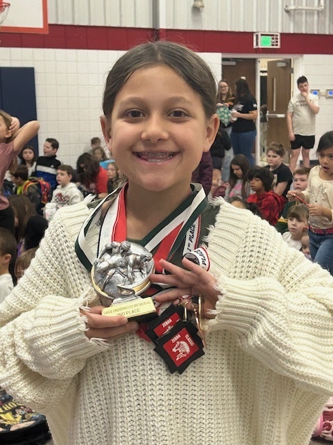 Wrestling Bling