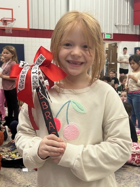 Spirit Stick Cheer