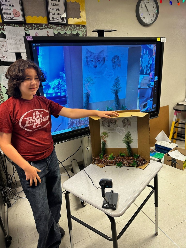 diorama 