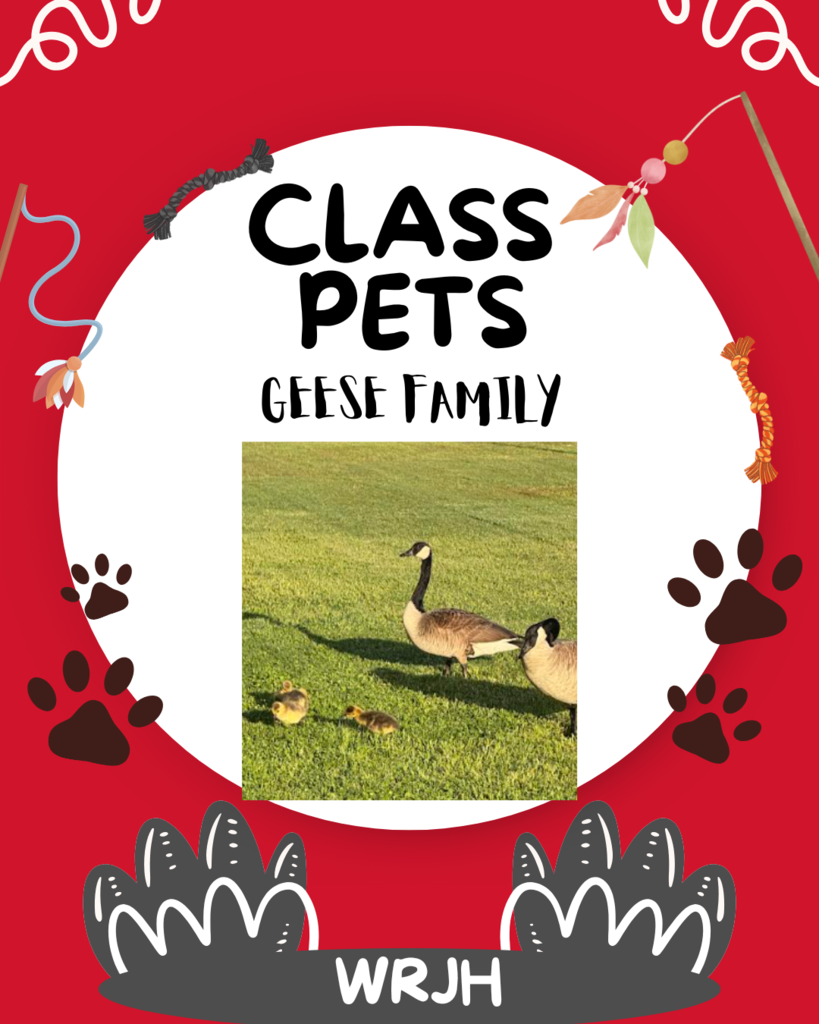 CLSS PETS