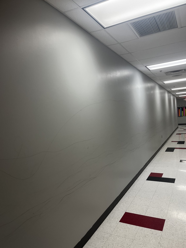 HALLWAY ART