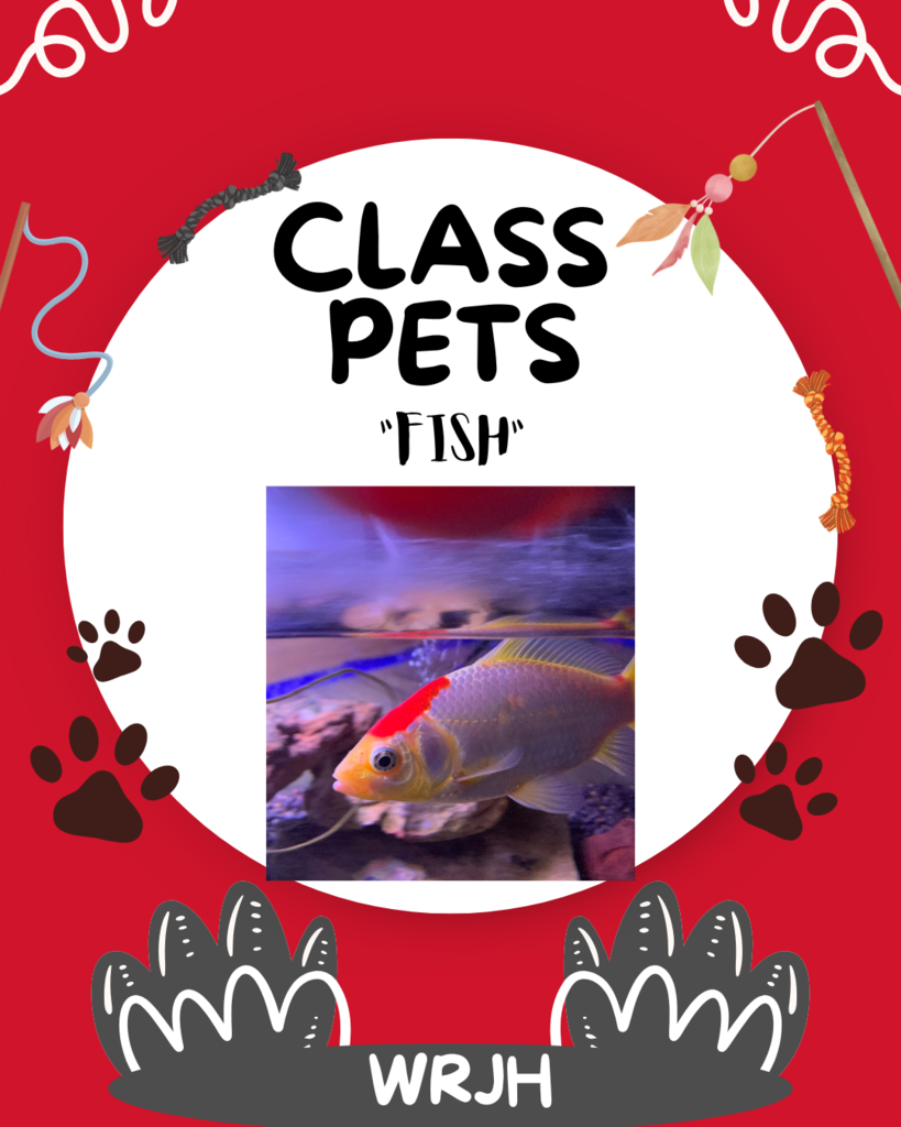 FISH CLASS PET