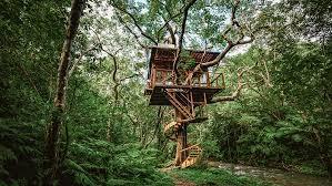 Treehouse