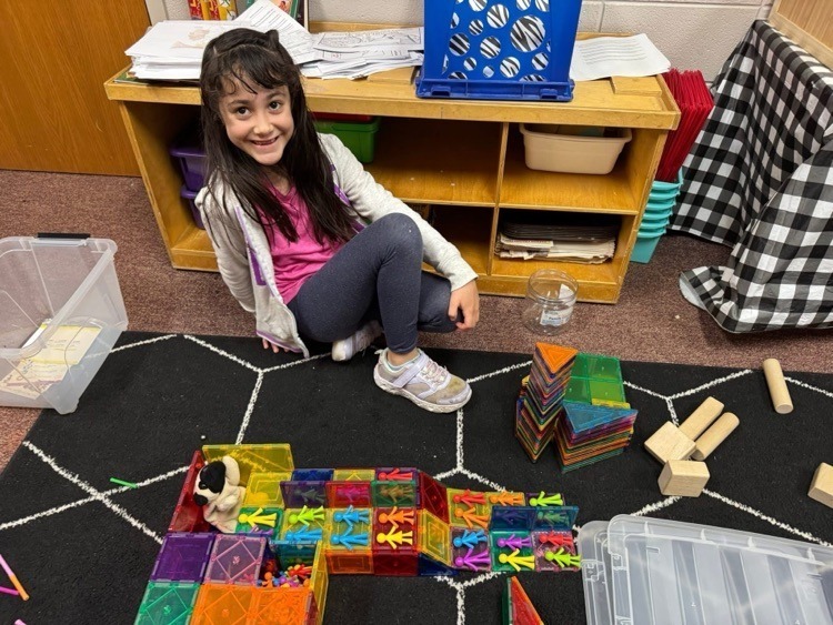 stem projects 
