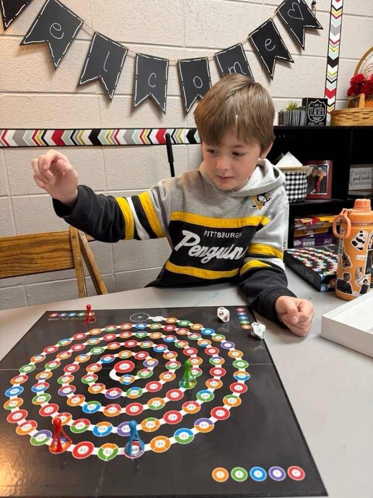 stem projects 