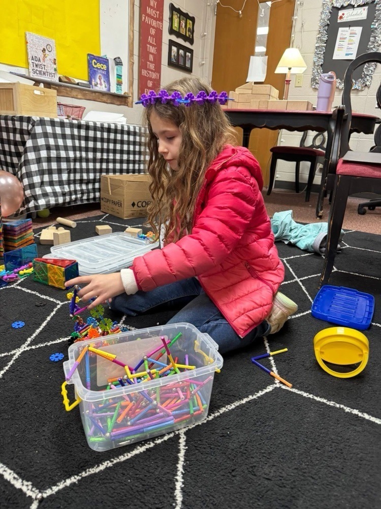 stem projects 