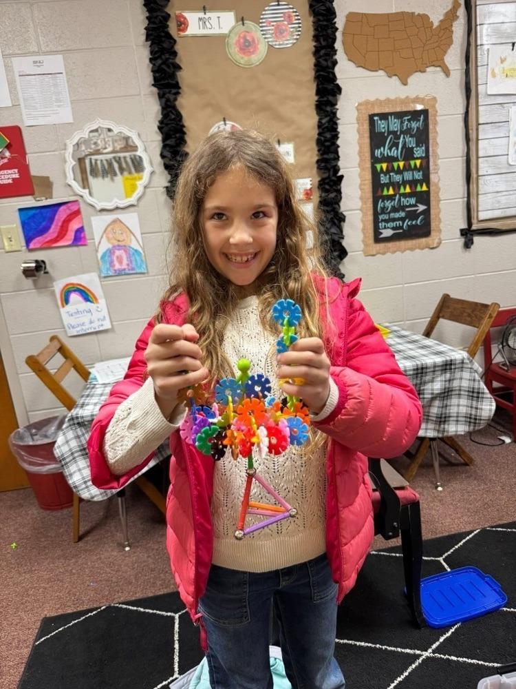 stem projects 