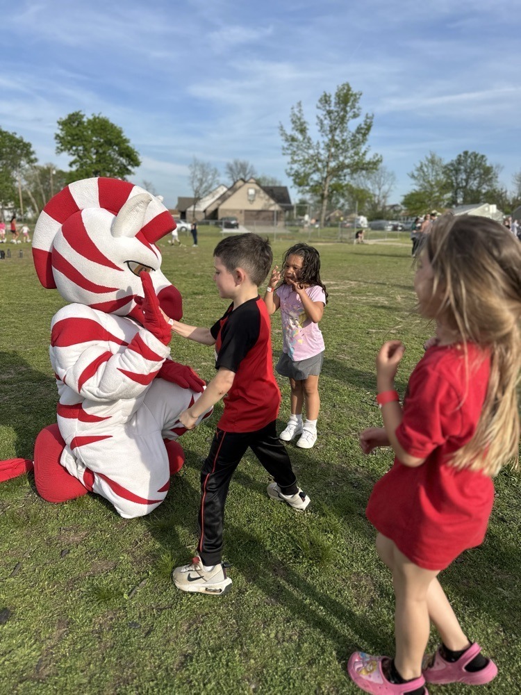 field day fun