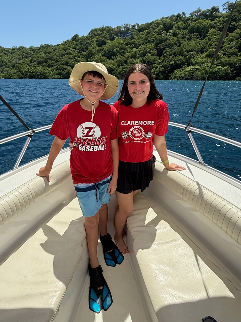 zebra siblings on a boat