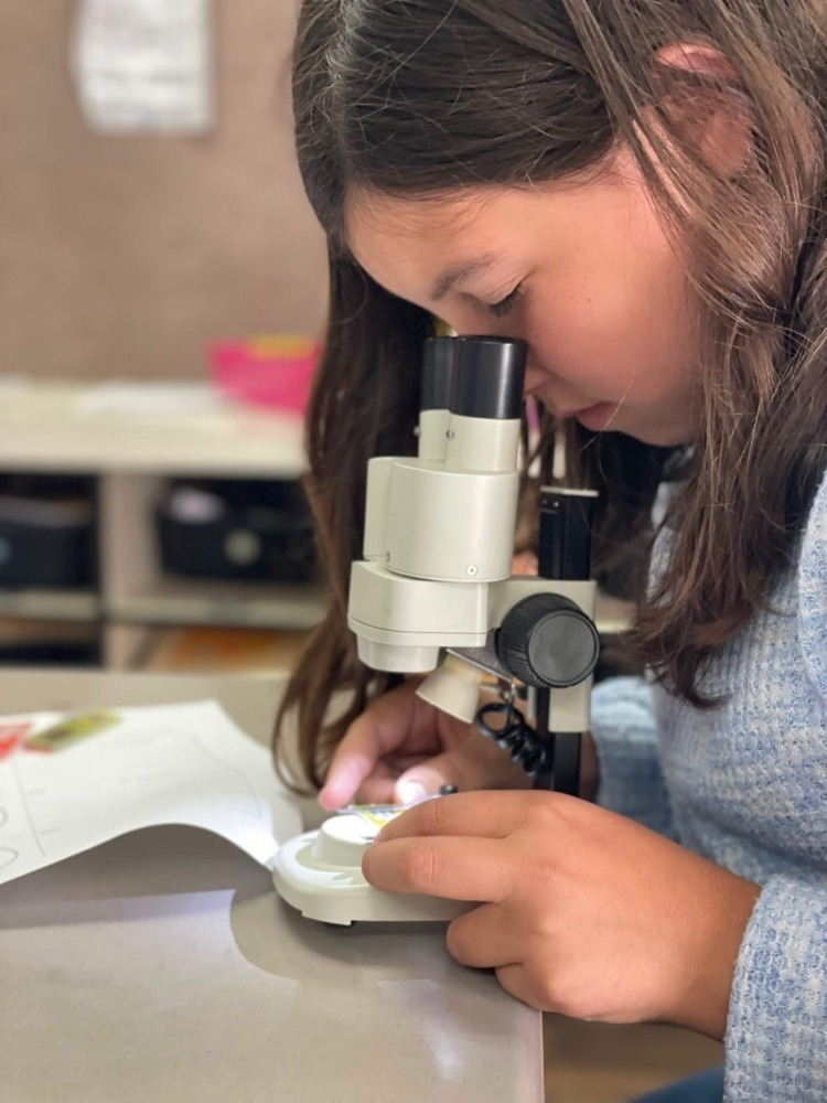 students with a microscope