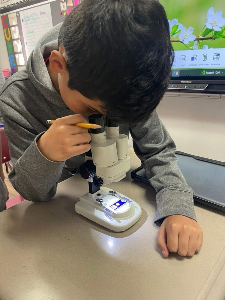 students with a microscope