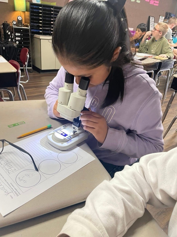 students with a microscope