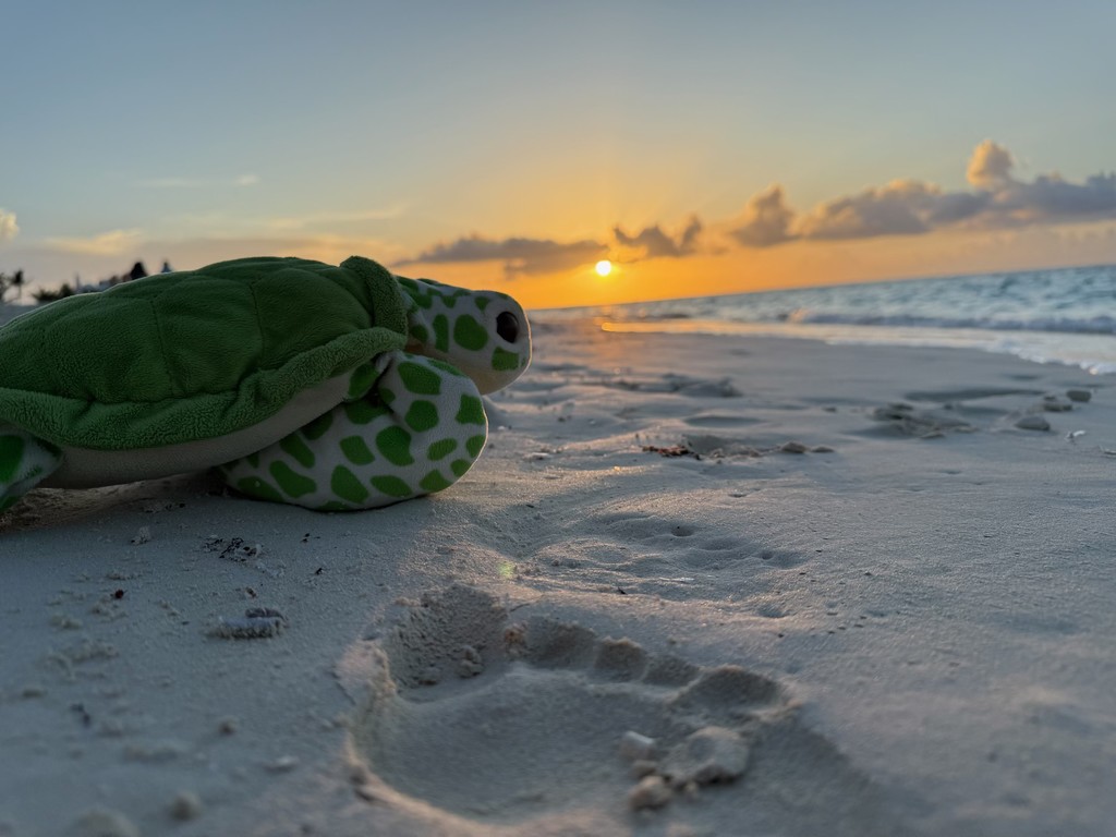 roosa student in turks & caicos