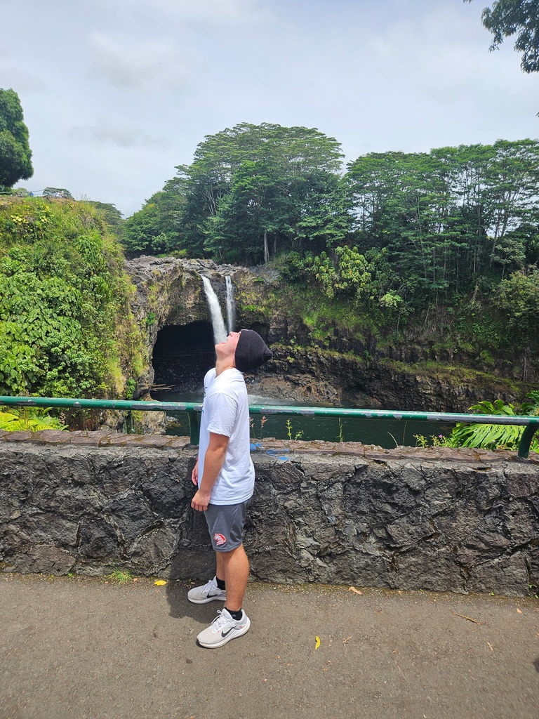 zebra travel diaires in hawaii