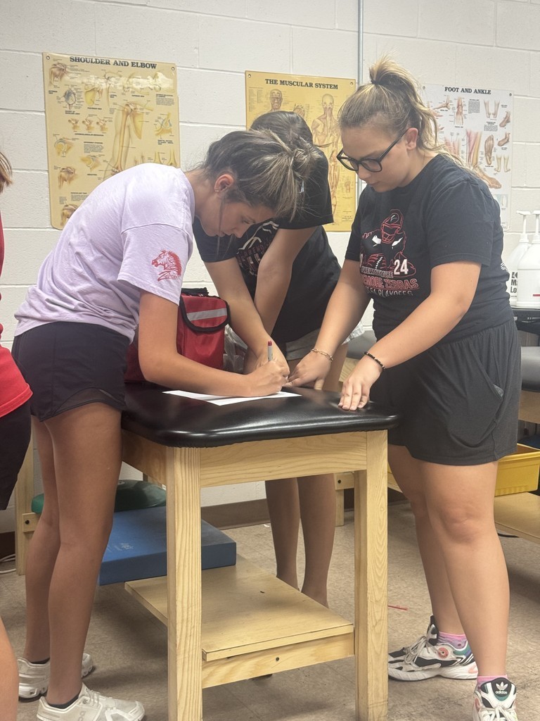 sports medicine team