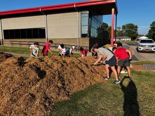 Mulch Time