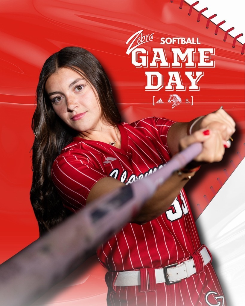 softball graphic