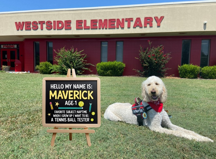 mavericks photo in front of the school 