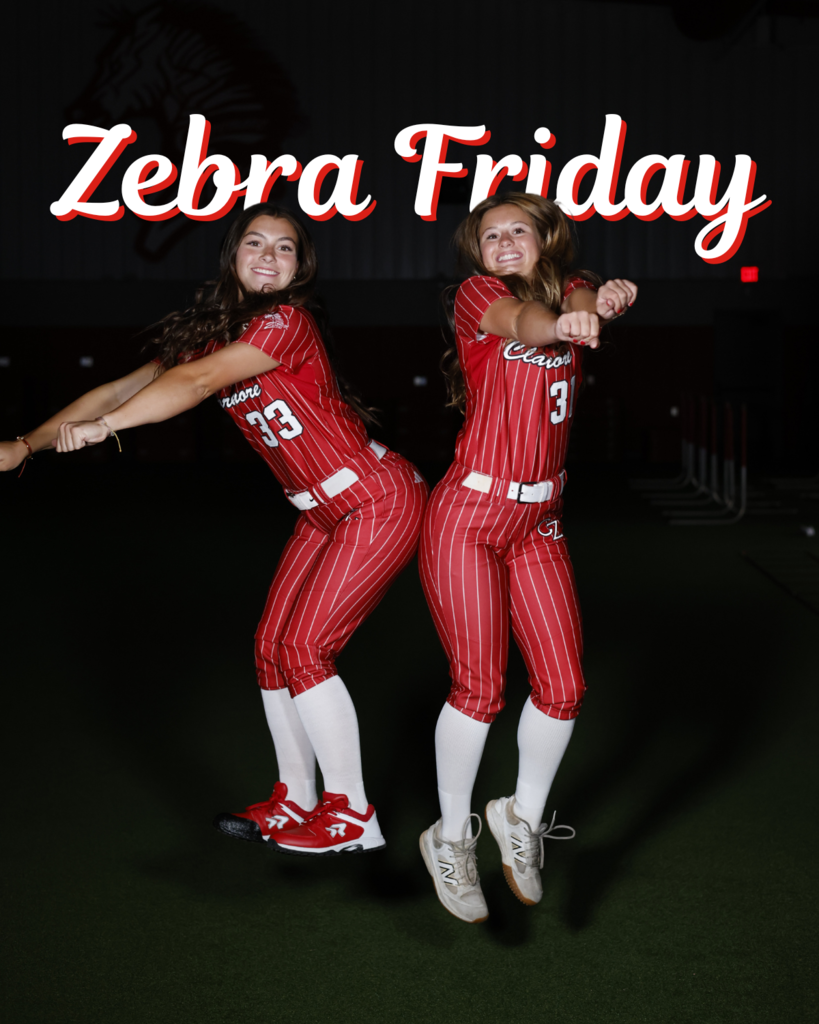 zebra friday