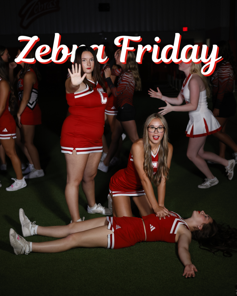 zebra friday