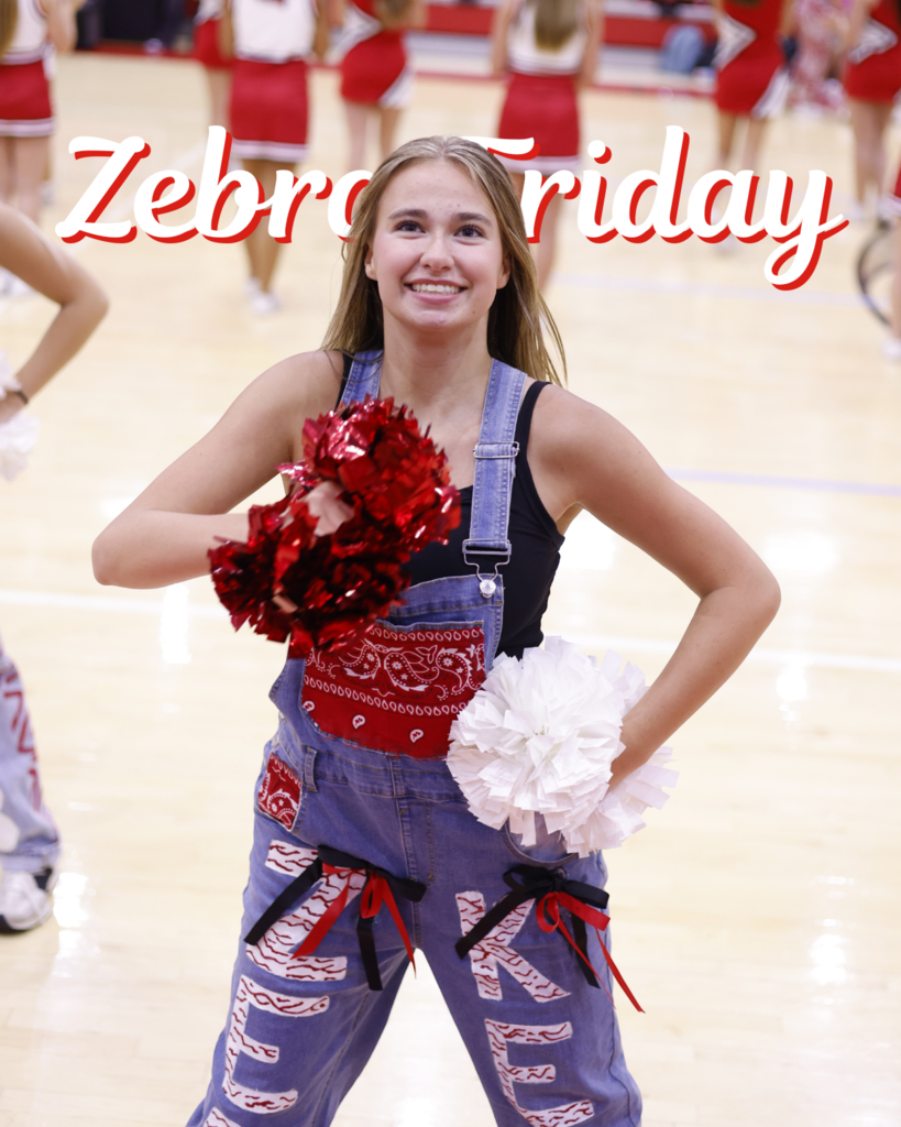 zebra friday