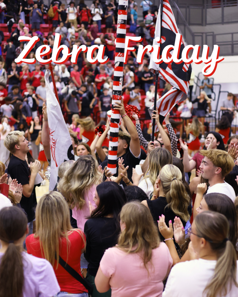 zebra friday