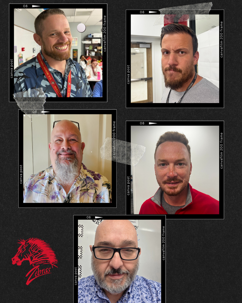 BEARD DAY