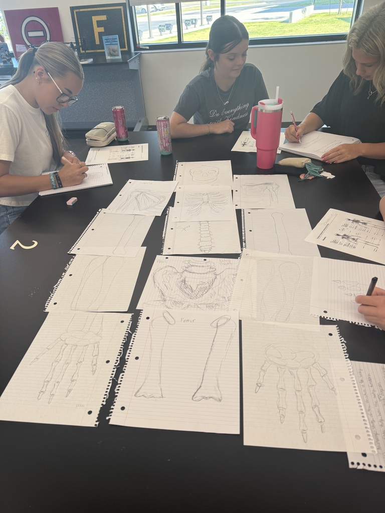 Coach Cunningham’s Athletic Health & Performance students worked together to draw and label the major bones of the body before diving into the details. A strong foundation sets the stage for deeper learning!