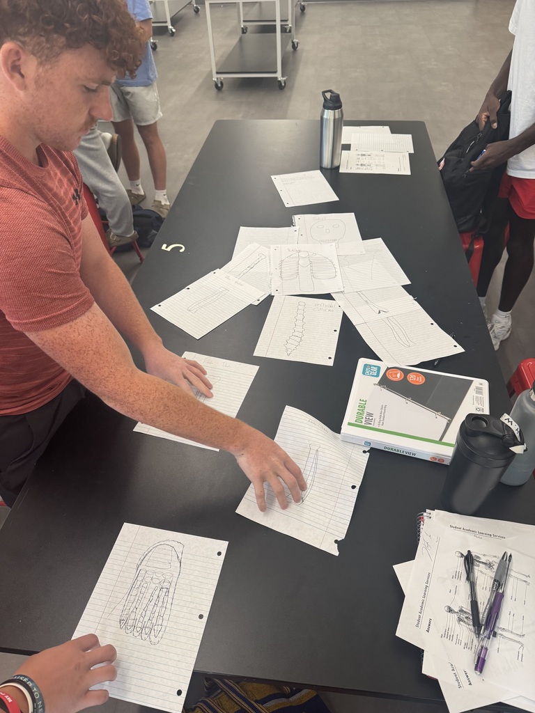 Coach Cunningham’s Athletic Health & Performance students worked together to draw and label the major bones of the body before diving into the details. A strong foundation sets the stage for deeper learning!