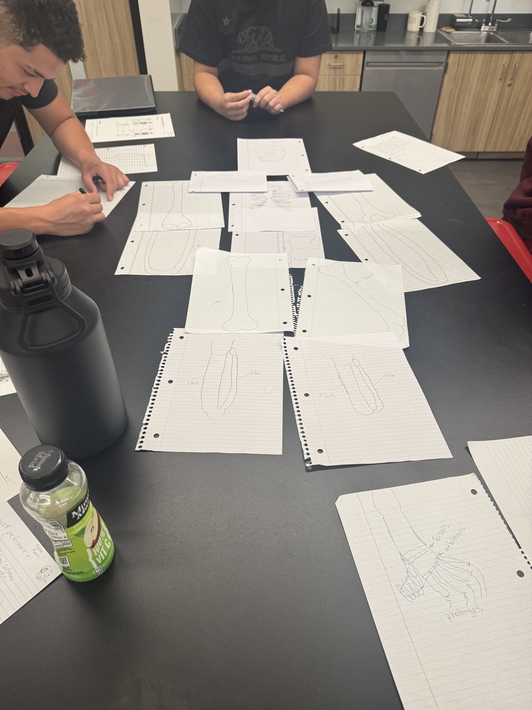 Coach Cunningham’s Athletic Health & Performance students worked together to draw and label the major bones of the body before diving into the details. A strong foundation sets the stage for deeper learning!