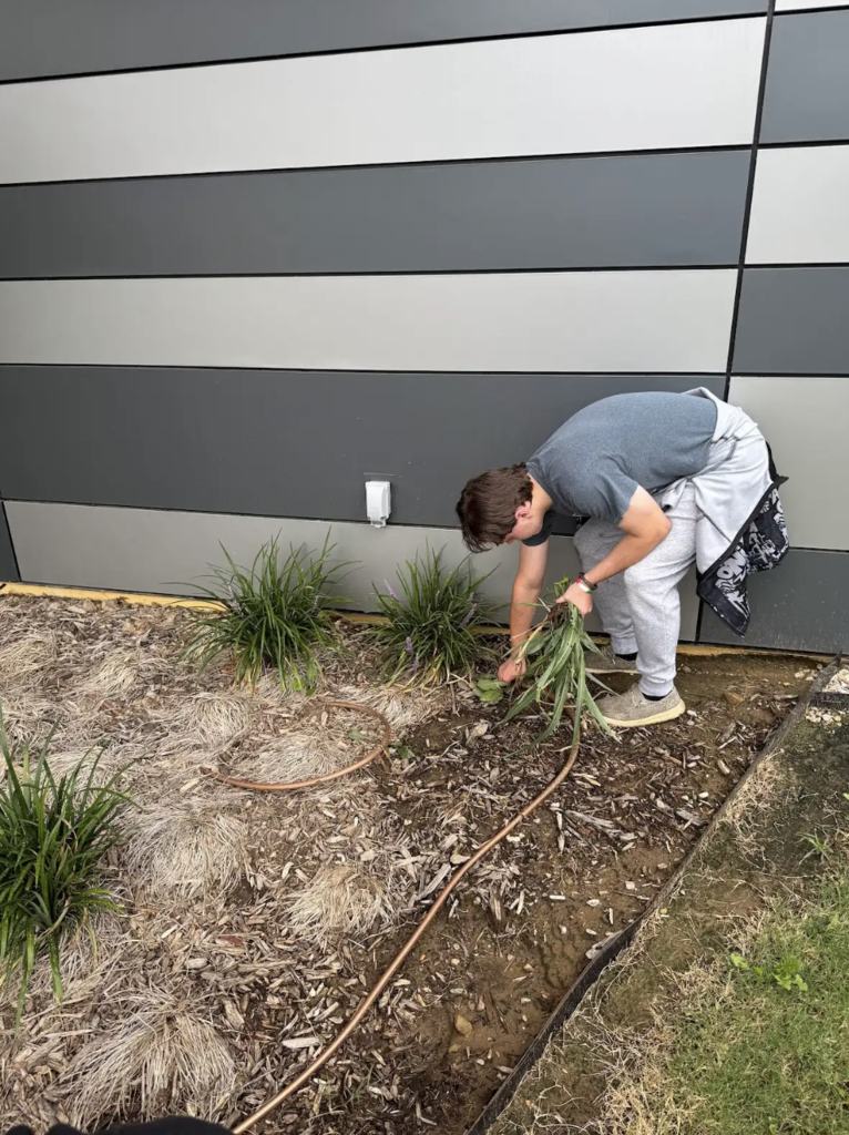 Ms. Gibson’s Plant & Soil Science students are getting hands-on learning right here on campus by taking over the care of our many flower beds! 🌼 Throughout the year, they’ll be weeding, planting, and maintaining these spaces—bringing knowledge to life while keeping our campus beautiful