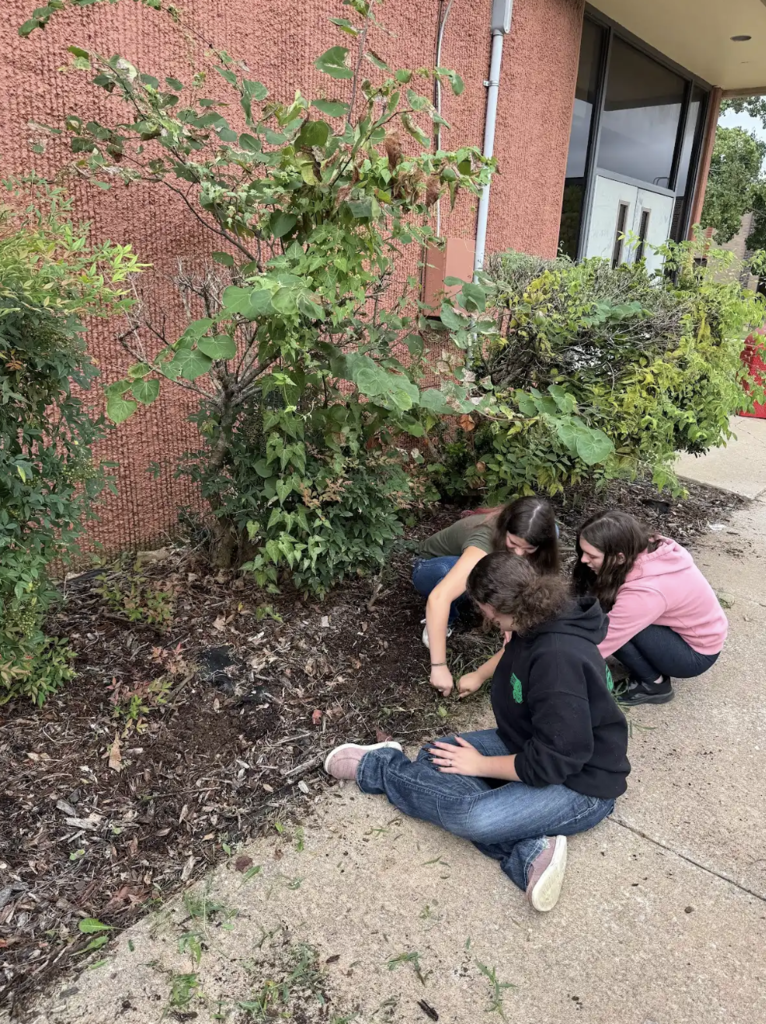Ms. Gibson’s Plant & Soil Science students are getting hands-on learning right here on campus by taking over the care of our many flower beds! 🌼 Throughout the year, they’ll be weeding, planting, and maintaining these spaces—bringing knowledge to life while keeping our campus beautiful