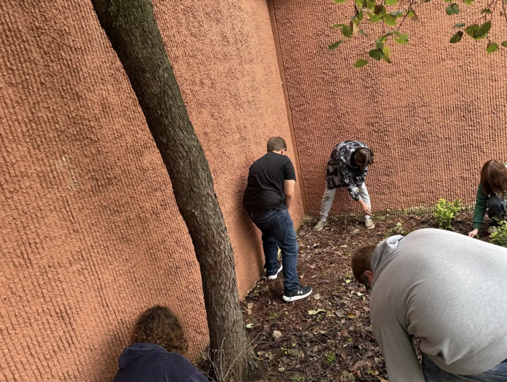 Ms. Gibson’s Plant & Soil Science students are getting hands-on learning right here on campus by taking over the care of our many flower beds! 🌼 Throughout the year, they’ll be weeding, planting, and maintaining these spaces—bringing knowledge to life while keeping our campus beautiful