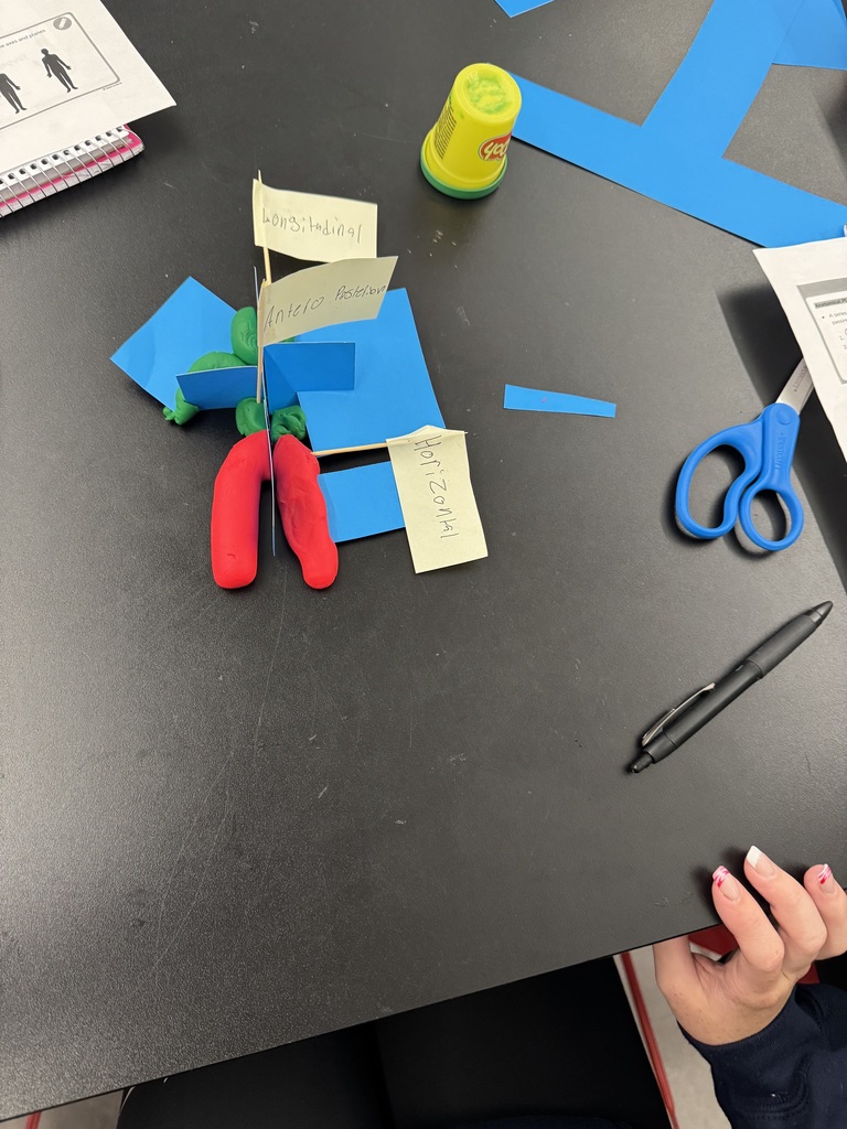 Exercise Science meets creativity! 💪🎨 Students got hands-on labeling movement planes and axes… with Play-Doh! Learning anatomy has never been this colorful—or this fun