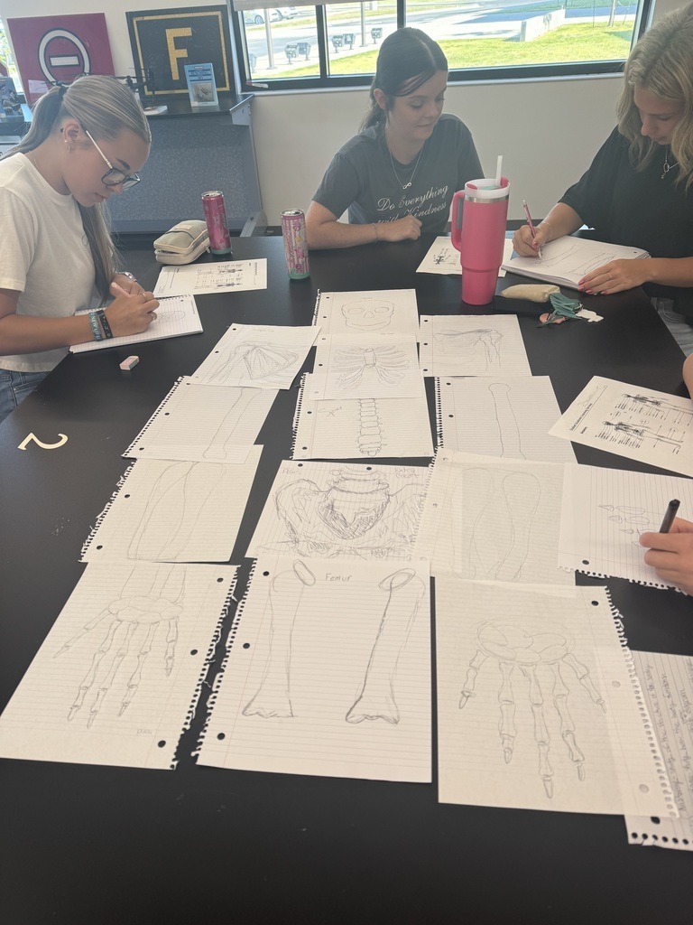 students making a skeleton
