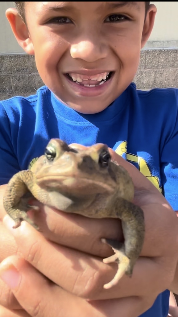 ace and frog